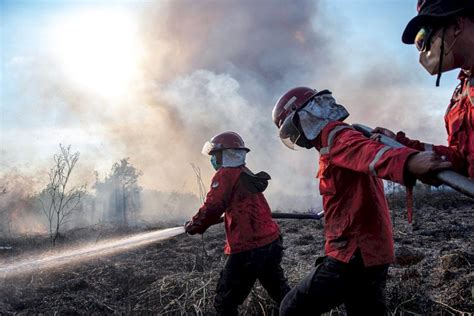 KLHK Kebakaran Hutan Dan Lahan Utamanya Disebabkan Oleh Aktivitas