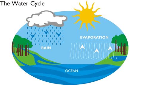 Water Cycle Water Is A Finite Resource The Same Water Con Flickr