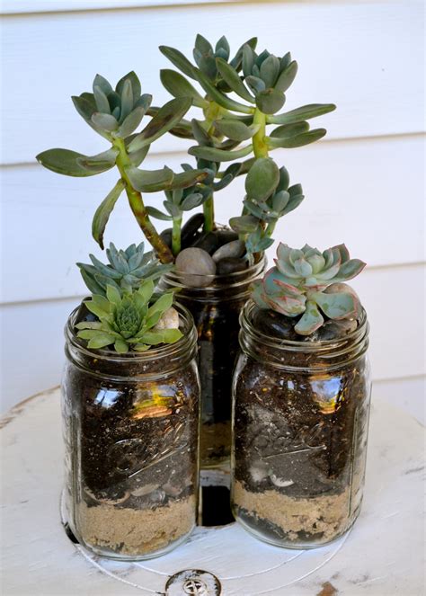 The Domestic Doozie Mason Jar Succulent Planters