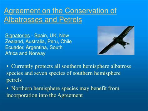 Ppt Agreement On The Conservation Of Albatrosses And Petrels