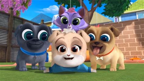 Puppy Dog Pals Season 5 All Mission Intros Youtube