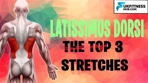 Latissimus Dorsi Anatomy And Best Stretches To Relieve Tightness Youtube
