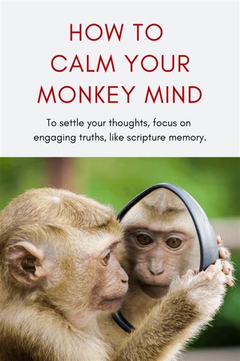 How Do You Settle Your Monkey Mind