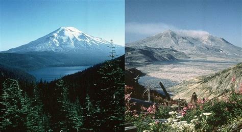 After Mount St Helens Erupted 1980 Became A Lost Spring For Some Uw