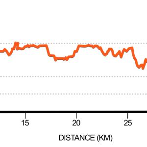 2023 Marathon Elevation Map 300x300 