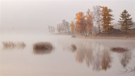 Wallpaper Trees Landscape Fall Lake Water Nature Reflection