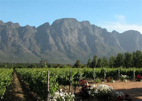 Franschhoek Wine Tram South Africa Audley Travel