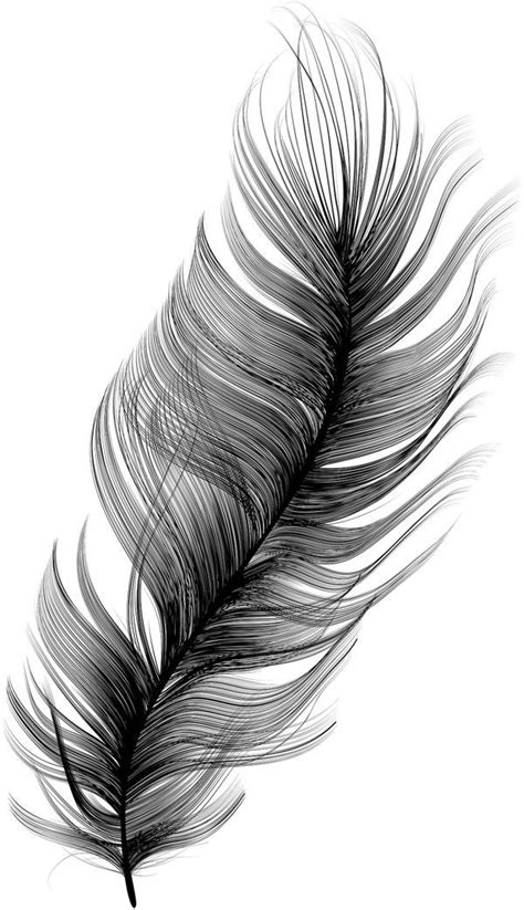 Vector Feather By Maria Montes Via Behance In 2020 Feather Art