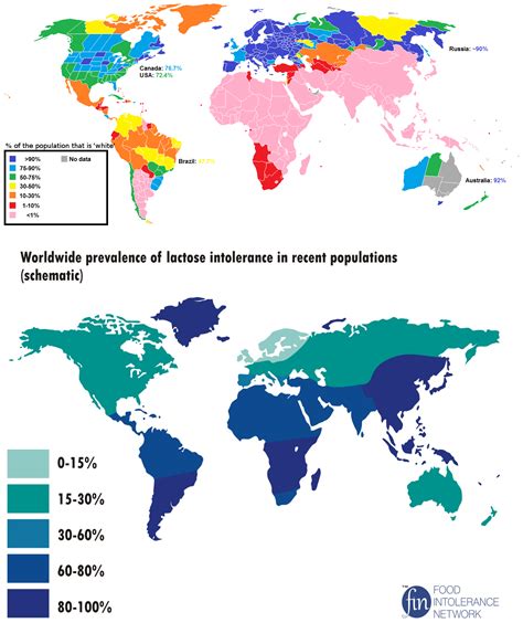 Percentage Of The Population That Is Whiteof European Ancestry