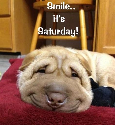 Smile Its Saturday Quotes Quote Morning Weekend Days Of