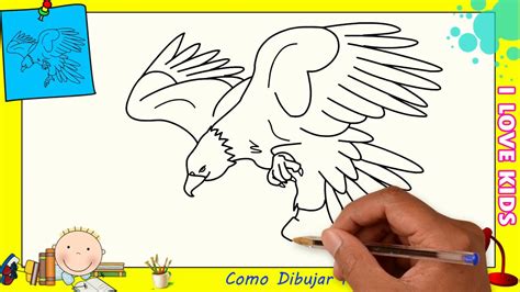 Dibujos De Aguilas Faciles Paso A Paso Para Ni Os Como Dibujar Un Aguila Facil Youtube