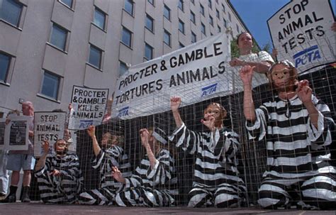 How Peta Protests Animal Cruelty