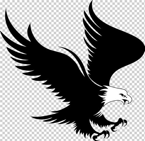 Ilustración De águila En Blanco Y Negro Logotipo De águila Calva