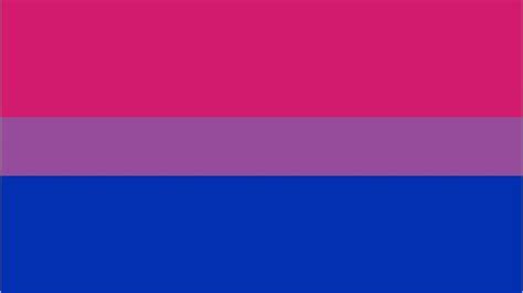 Amazon Com Lgbtq Pride Heart Bisexual Flag Colors Bi Support Vintage