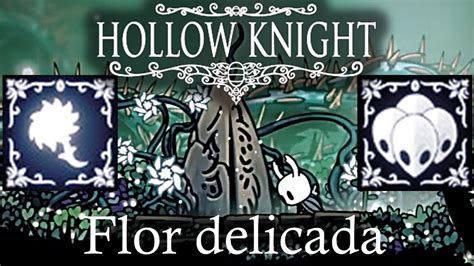 Hollow Knight Guia De Misión Flor Delicada Ruta Completa Logros