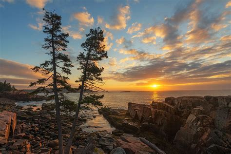 Acadia National Park Coastal Trails Wildlife Hiking Britannica