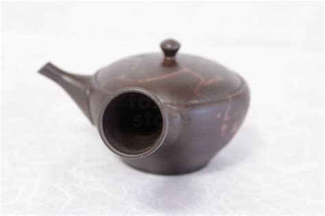 Tokoname Yaki Ware Japanese Tea Pot Gyokko Kamahen Ceramic Tea