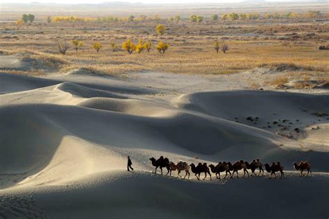 Top 10 Coldest Deserts In The World You Can Visit In Summer Updated