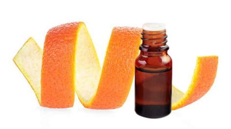 Orange Burps 100 Natural Supplement For Heartburn And Acid Reflex