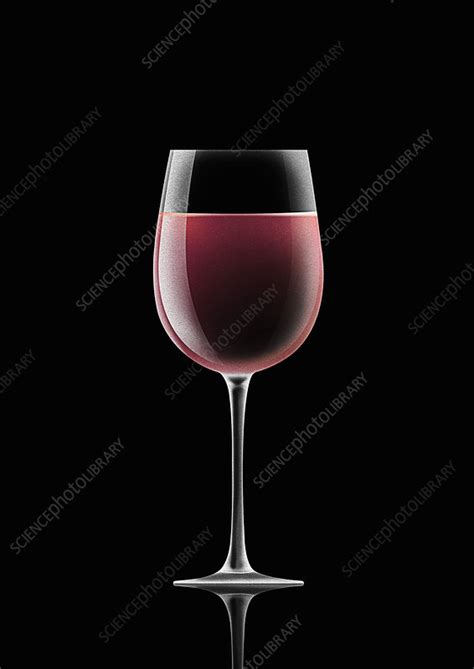 Single Glass Of Rose Wine Illustration Stock Image C0396155