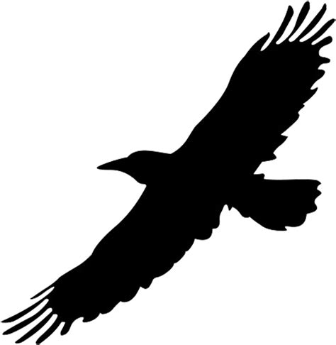 Download Flying Bird Png Image Black Bird Flying Png Hd Transparent