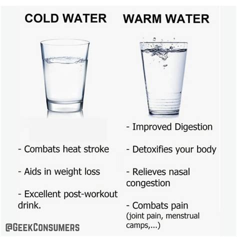 Cold Water Vs Warm Water Rwellnesspt