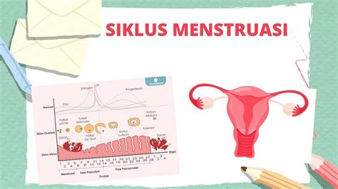 Siklus Menstruasi Grafik Siklus Menstruasi Dan Penjelasannya YouTube