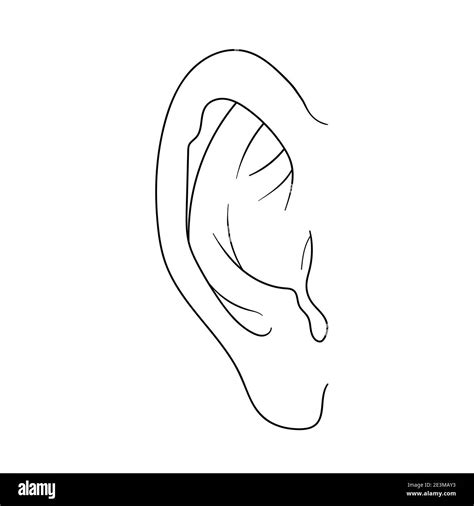 Hand Drawn Ear Sketch Symbol Vector Listen Element In Doodle Style