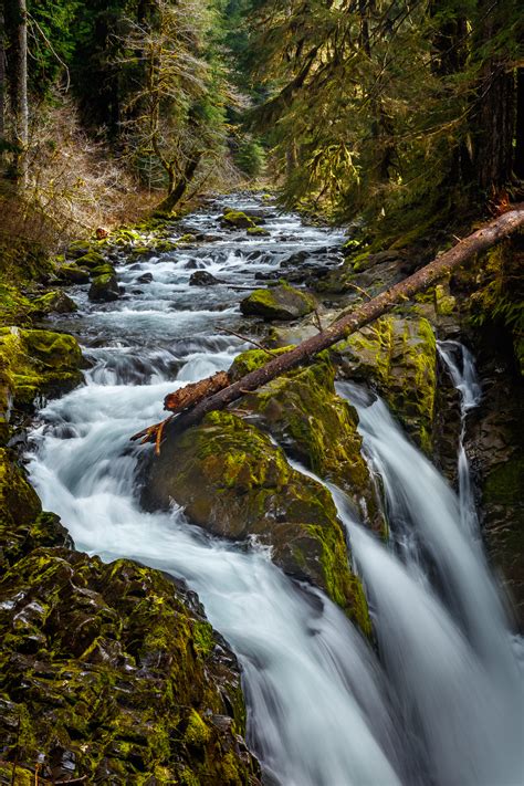 Sol Duc Falls Trail Photographing Earth