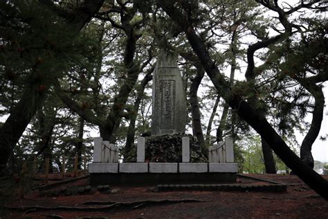 Miho No Matsubara 三保の松原 Miho Pine Grove Steves Genealogy Blog