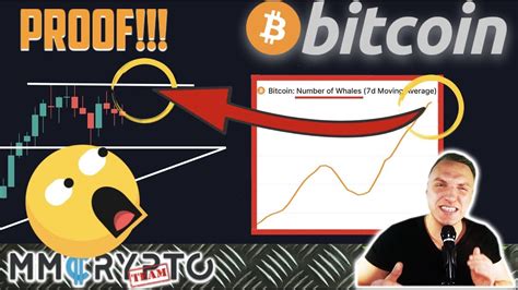 Rosenberg considers bitcoin the biggest market bubble right now, cnbc reported. PROOF: BITCOIN WHALES ARE RIGHT NOW BUYING!!! MOST CRUCIAL ...