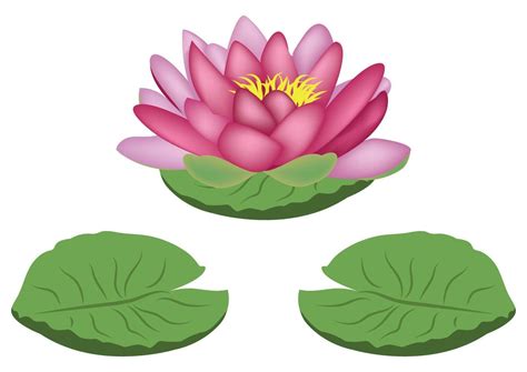 Water Lily Clipart