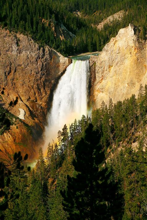 Lower Falls In Yellowstone National Park By Todd Klassy