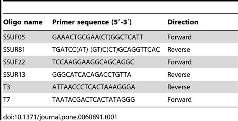 oligonucleotide primers for sequencing of the rn 18s rrna gene download table