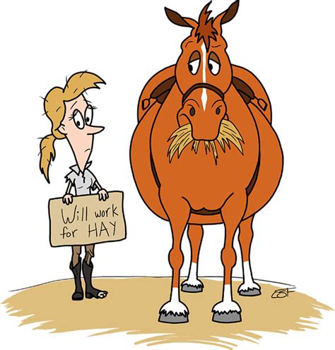 Fat Horse Cartoon Wallpapers Quality