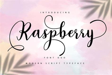 Raspberry Font Duo In 2020 Modern Script Font Modern Typeface