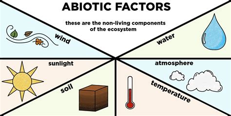 Abiotic Factors An Ecosystem Component Tipik Net