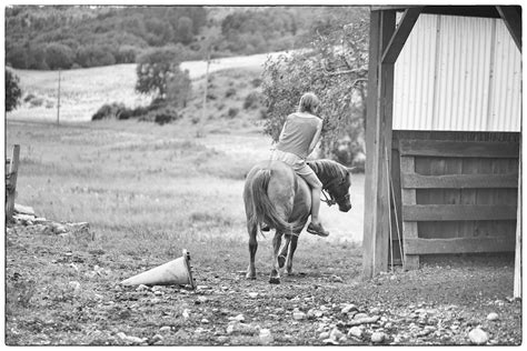 riding bareback bedlam farm