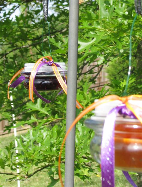 Maybe you would like to learn more about one of these? DIY Oriole Feeders - Who Needs A Cape?