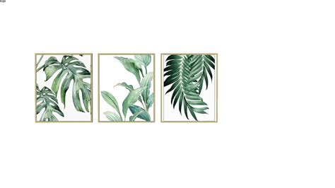 Paintings Tropical Plants 3D Warehouse