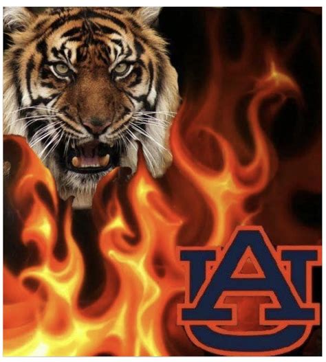 Auburn Tigers Football Sec Football Clemson Auburn Clothes Auburn