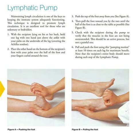 lymphatic pump lymph massage lymphatic drainage massage lymphatic system