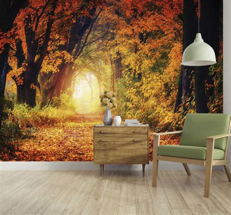 Autumnal Path Nature Wall Mural Tenstickers