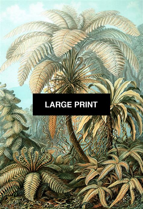 Vintage botanical art reproduction print of florida oranges hanging on the tree brightens up even the sunniest kitchen. Ernst Haeckel Filicinae Print Tropical Art Vintage Decor ...