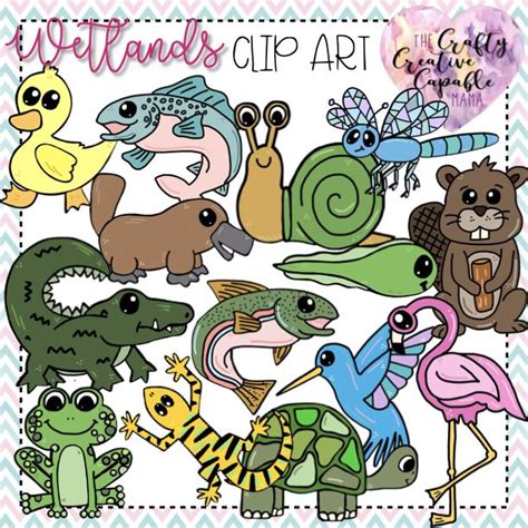 Wetland Animal Clip Art Clip Art Drawing Clipart Art