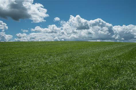 природа трава горизонт Nature Grass Horizon на телефон Обои на рабочий