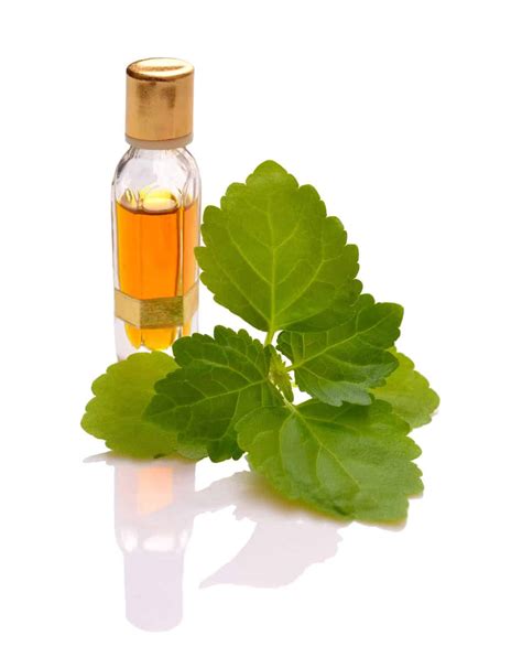 17 Fascinating Uses Of Patchouli Essential Oil 2019 Update