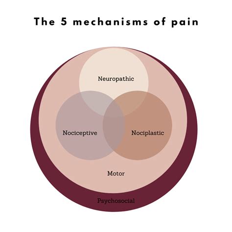 Chronic Pain Management Ottawa On — Femade