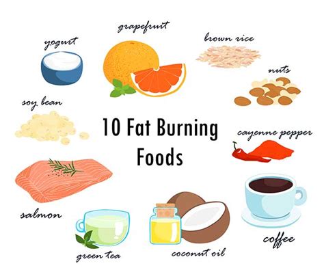 15 Pretty Best Fat Burning Foods Best Product Reviews