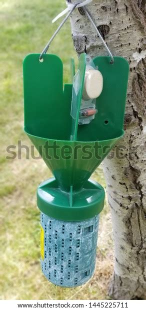 Japanese Beetle Trap This Type Trap Stock Photo 1445225711 Shutterstock